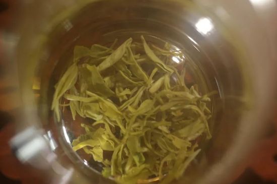 碧螺春正確泡法和飲用，碧螺春茶泡茶方法與溫度