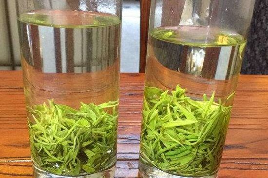 黃金茶的功效及禁忌癥，黃金茶有什么副作用嗎？