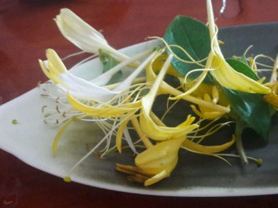 喝茶治口臭嗎，什么茶治口臭好？