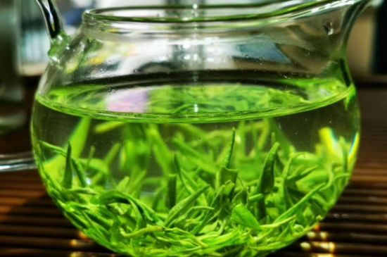 喝黃金茶禁忌，什么人不能喝黃金芽茶？