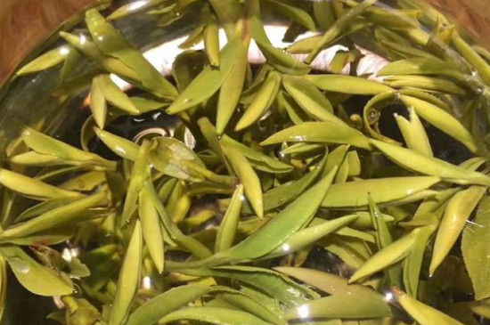 八大茶系都有哪幾種，八大茶系都是什么名字