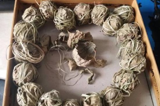 鷓鴣茶用拆開泡嗎，鷓鴣茶要解開繩子泡嗎