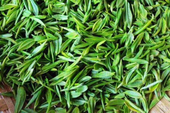 云霧綠茶的功效及禁忌，哪些人不適合喝云霧茶