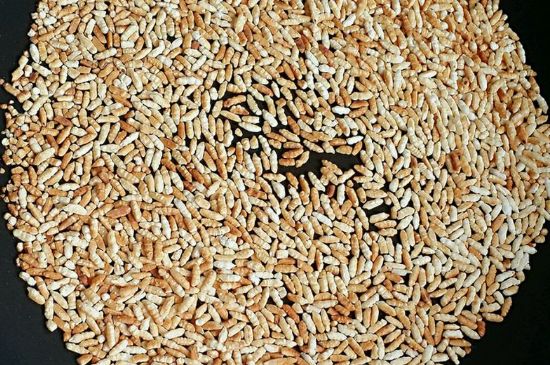 玄米茶是紅茶嗎，玄米茶怎么喝