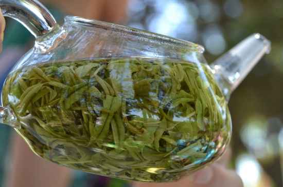 新手學(xué)泡茶的基本常識，從零開始學(xué)泡茶