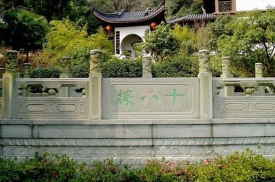 世界最貴的茶葉排行榜，十大最貴的茶