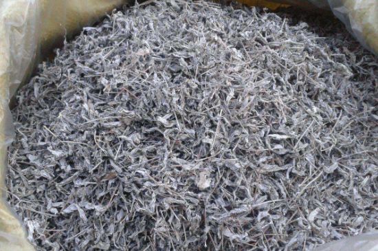 怎樣辨別莓茶發(fā)霉了，莓茶發(fā)霉和白霜的區(qū)別