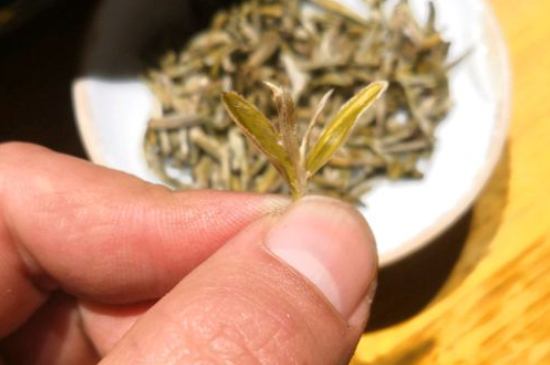 六大茶類哪種適合長期存放，日常如何保存方法一覽？