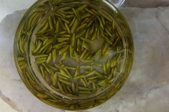 茶葉在哪里買比較好，哪里能買到好的茶葉