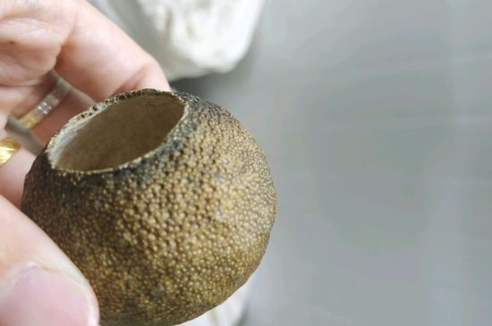 小青柑多少錢一盒，新會小青柑普茶價格一斤多少