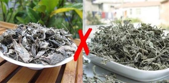 張家界茅巖莓茶與藤茶是同一種茶嗎，藤茶跟莓茶一不一樣？