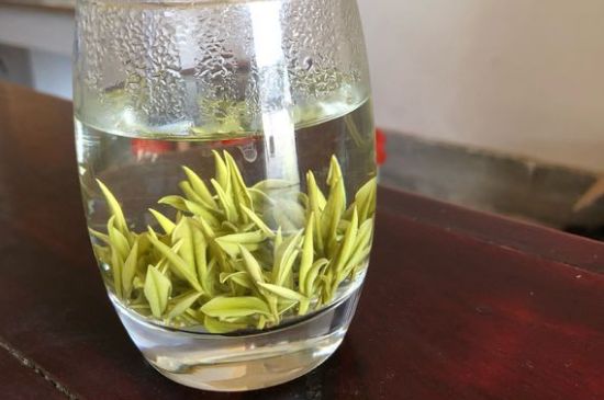 安吉白茶耐寒嗎，白茶適合放冰箱嗎