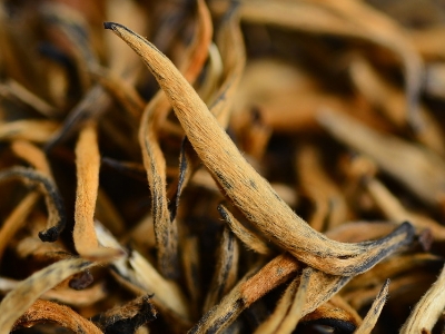 怎么知道什么茶葉適合自己，怎么判斷自己適合喝什么茶？