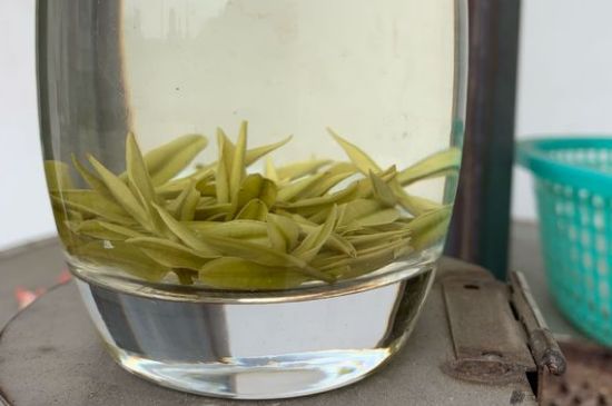 安吉白茶耐寒嗎，白茶適合放冰箱嗎