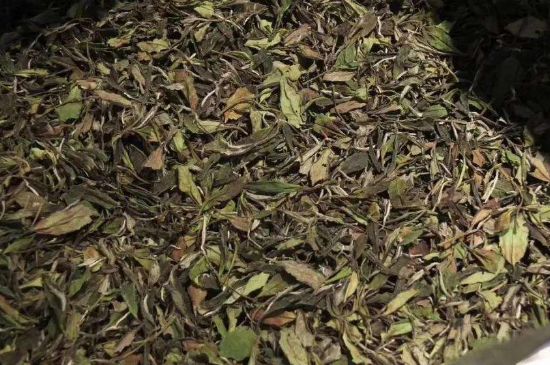 陳茶還是新茶好，茶葉是新茶好喝還是陳茶好喝