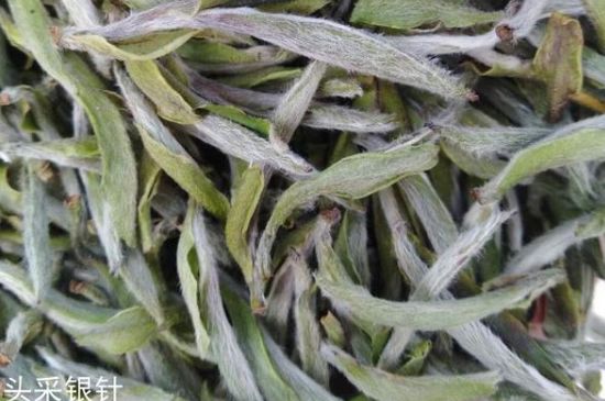 春茶季怎么辨別白毫銀針的好壞，好的白毫銀針如何選購？