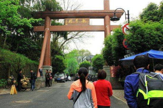 杭州買(mǎi)龍井茶攻略，怎么買(mǎi)到正宗的西湖龍井？