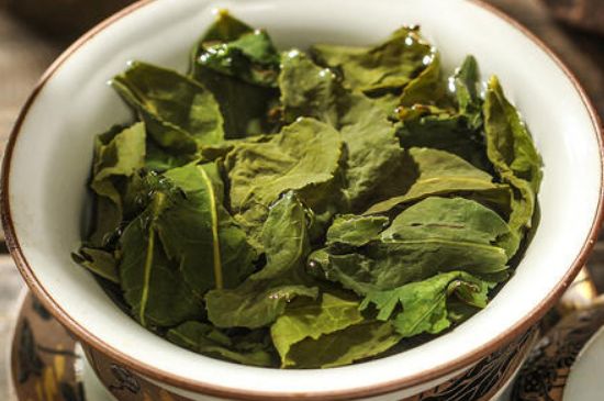 陳茶還是新茶好，茶葉是新茶好喝還是陳茶好喝