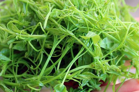 茅巖莓茶保質(zhì)期有多久，張家界莓茶存放時(shí)間長了還能喝嗎？