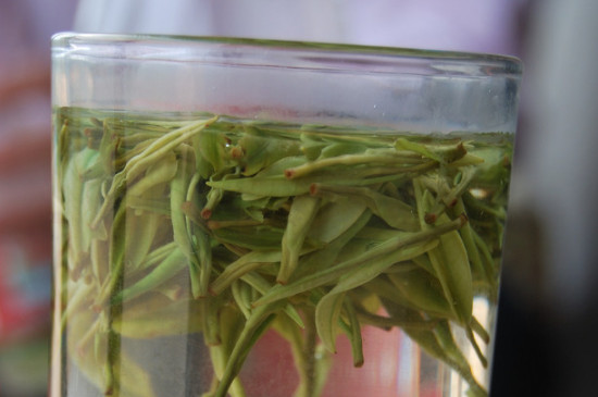 白茶的年份是怎么區(qū)分，如何辨別白茶年份