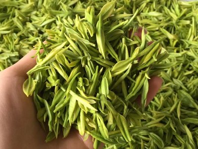 白茶品質(zhì)如何區(qū)分，白茶的優(yōu)劣質(zhì)量辨別方法