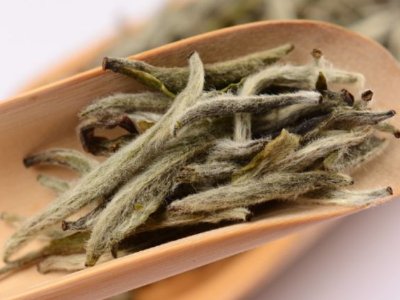 白毫銀針放幾年最好，白毫銀針什么年份最好？