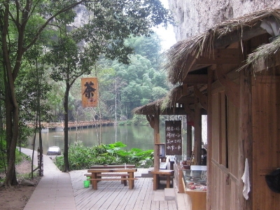 實體店買茶葉的技巧，新手買茶須知