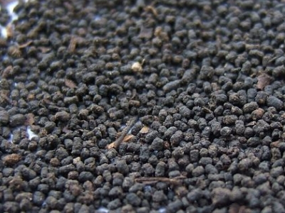 圓形顆粒狀茶是什么茶，像飼料一樣一粒粒的是什么茶？