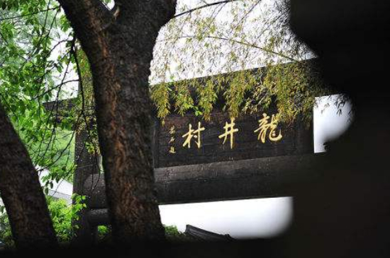 杭州買(mǎi)龍井茶攻略，怎么買(mǎi)到正宗的西湖龍井？