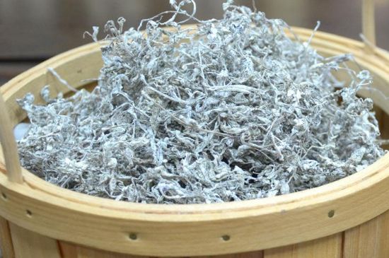 張家界莓茶真假對比，野生莓茶的鑒別方法