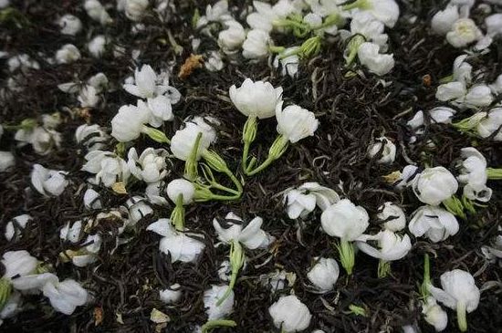 茉莉龍珠怎么做的，茉莉龍珠的制作工藝