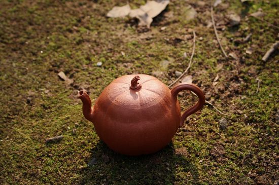 紫砂壺泡什么茶最佳，紫砂壺一般泡什么茶？