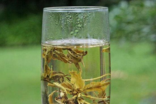 茉莉龍珠什么人不能喝，茉莉龍珠茶什么體質(zhì)不能喝？