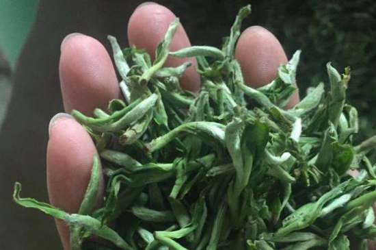 茉莉茶如何制作曬干，自制茉莉茶的做法