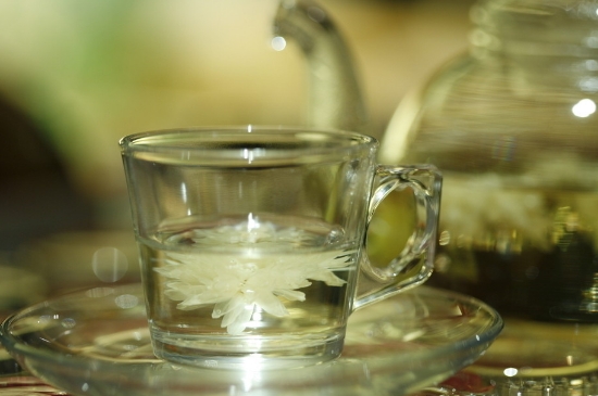 菊花茶天天喝行嗎，每天喝菊花泡茶喝好嗎？