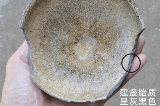 假建盞的特點(diǎn)，真假建盞區(qū)分帶圖