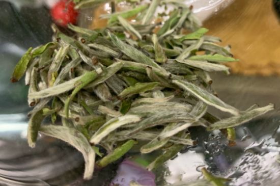 蒸汽煮茶器適合什么茶，蒸汽煮茶器適合用綠茶嗎？