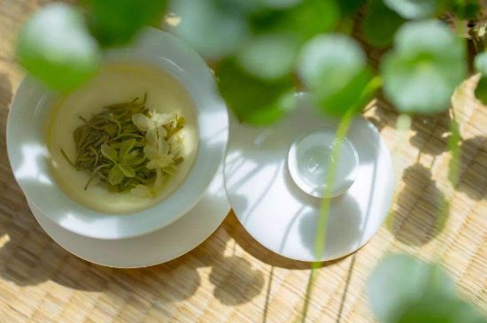 茉莉花茶6種人不要喝，什么體質(zhì)不適合喝茉莉花茶？