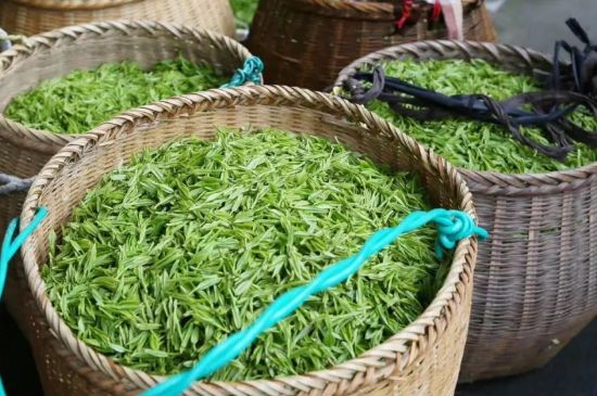 茶葉怎么炒制才香，怎樣炒茶葉更香？