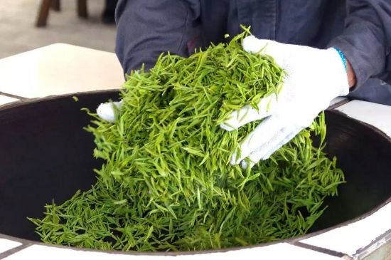 自家炒茶葉怎么炒，自己炒茶葉的步驟