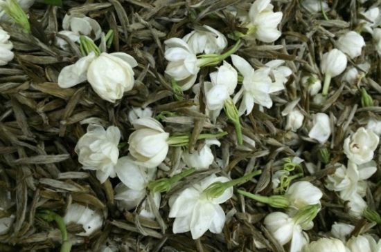 茉莉銀針口感，茉莉銀針是什么味道？