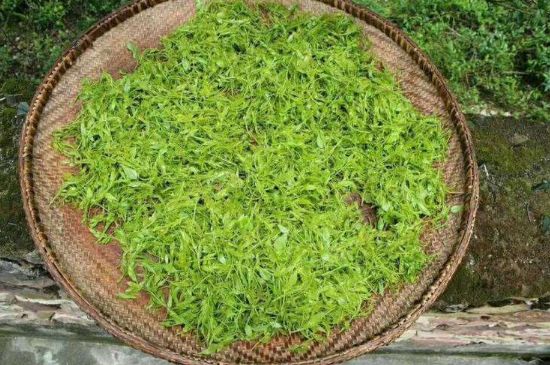 茅巖莓茶加工工藝，莓茶的工藝制作過程