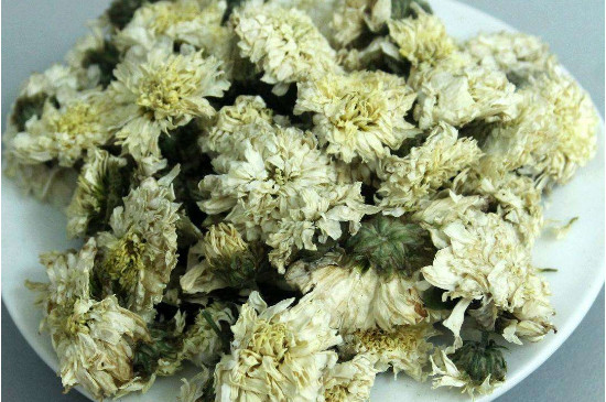菊花茶買小朵還是大朵，泡茶用的小菊花和大菊花哪個(gè)好
