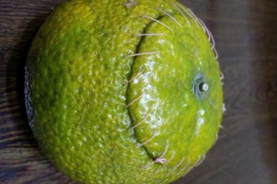 家庭自制柑普茶方法，小青柑制作9個(gè)步驟竅門（圖片）