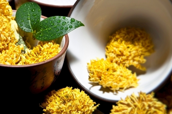 孕婦可以喝菊花茶嗎，菊花對胎兒有致畸作用？