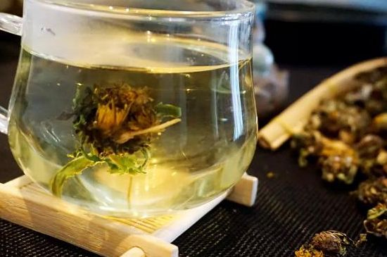 蒲公英最佳搭配，蒲公英茶和什么搭配泡水最佳