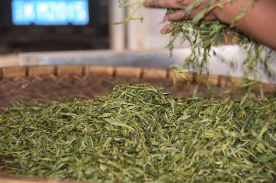 炒青綠茶與綠茶的區(qū)別，烘青和炒青哪個(gè)好喝？