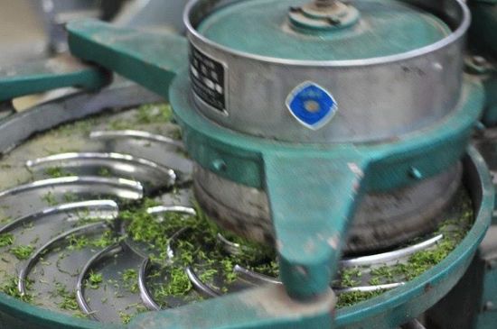 武夷巖茶的初制、精制加工工藝詳細講解