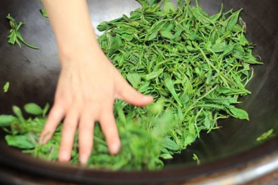 炒青綠茶與綠茶的區(qū)別，烘青和炒青哪個(gè)好喝？