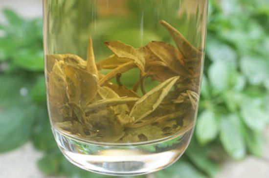 茉莉龍珠泡開后為什么都是梗，茉莉龍珠泡開后什么樣？